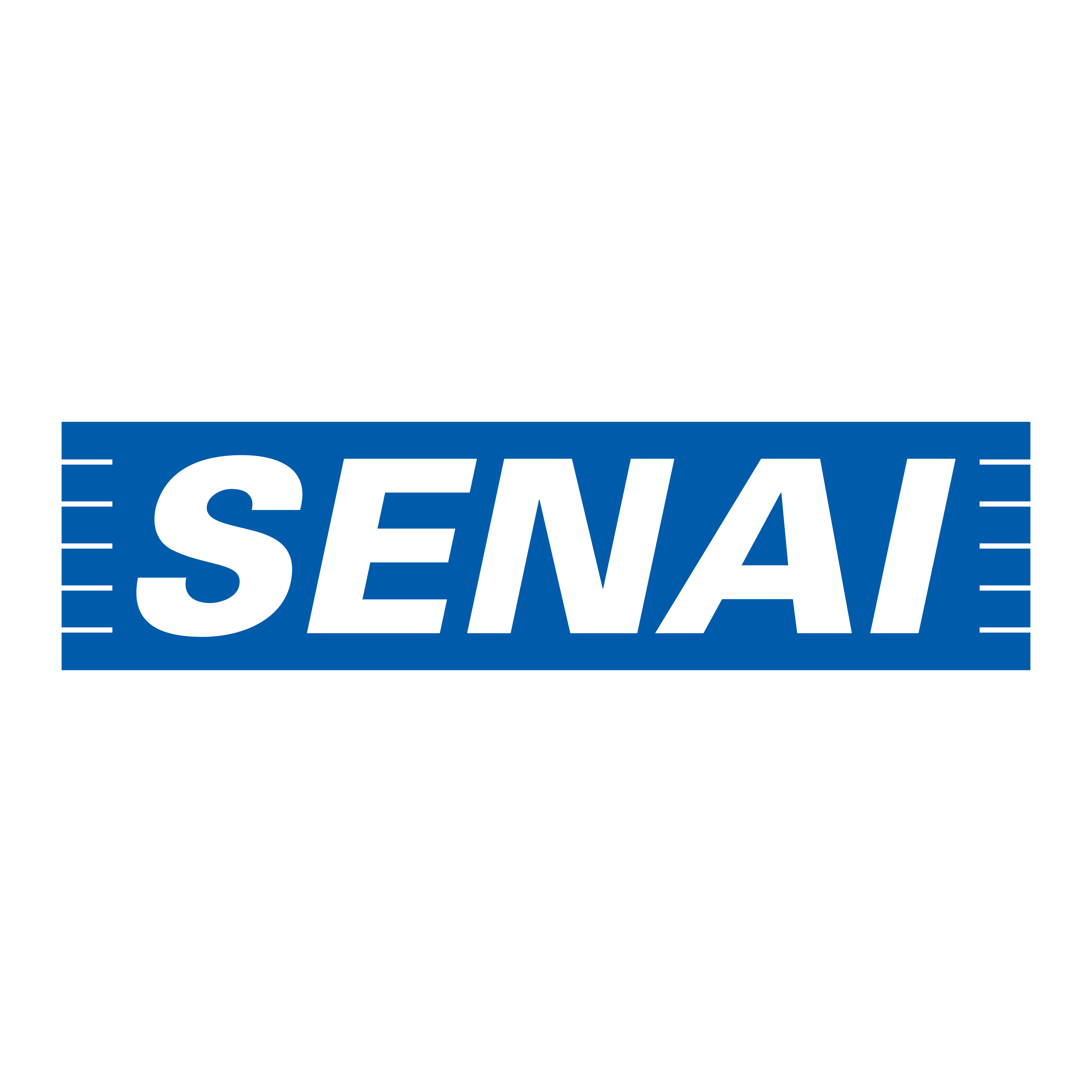 SENAI Logo